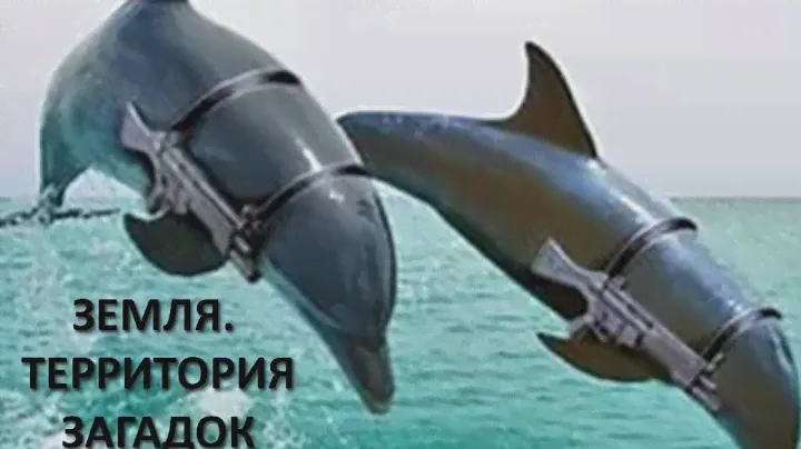 Тайна секретного объекта. Площадка 75. Боевые дельфины | Земля. Территория загадок
