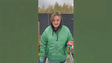 Томат Кабанчик F1 #семена #сад #огород